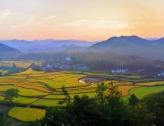 电竞比賽(sài)奖金丰厚，选手们激(jī)烈角逐(zhú)