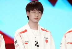 谁是LOL最佳辅助选手，官方发起投票，meiko只排名第三