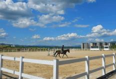 两江国际马术赛事中心正式开馆