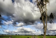 2025英雄联盟全球总决赛开启，多家院线将直播赛事