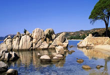 中国男乒让二追三逆转日本队